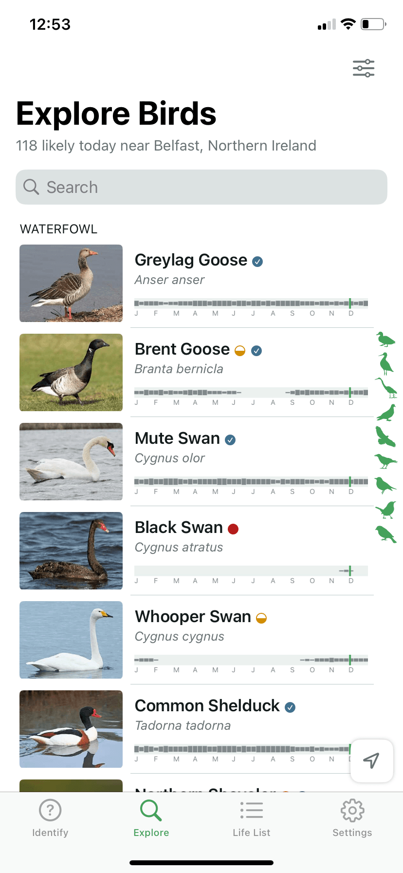 A screenshot of the 'Likely Birds' section on the Merlin Bird ID App