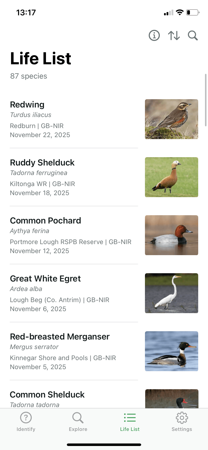 A screenshot of David's 'Life List' section on the Merlin Bird ID App