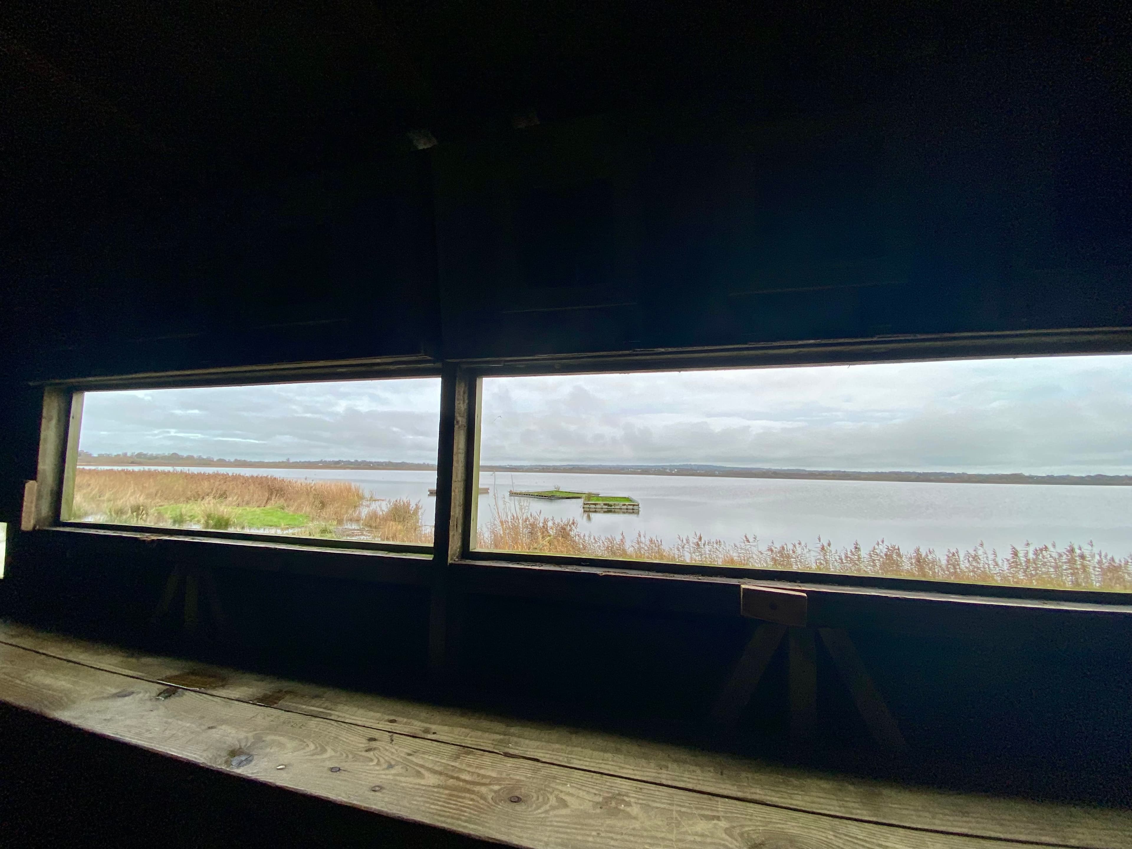The view from the RSPB Portmore Lough Bird Hide